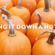 Illustration for article titled Everyone Needs to Calm the Fuck Down About Pumpkin Spice
